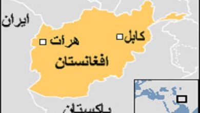 Herat Map 203