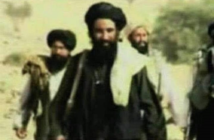Taliban Dm