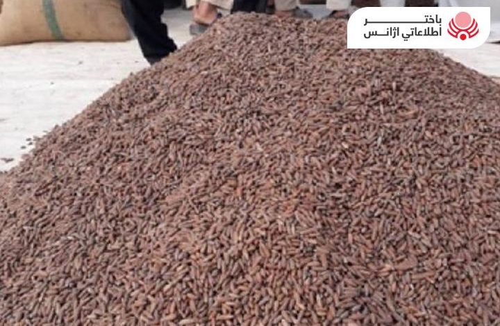 افغانستان به هزینه بیش از 54 میلیون دالر جلغوزه صادر کرده است