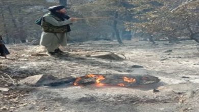 وقوع آتش سوزی در یک جنگل در نورستان