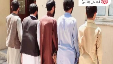 پنج مرد به ظن انجام جرایم مختلف در نیمروز بازداشت شدند