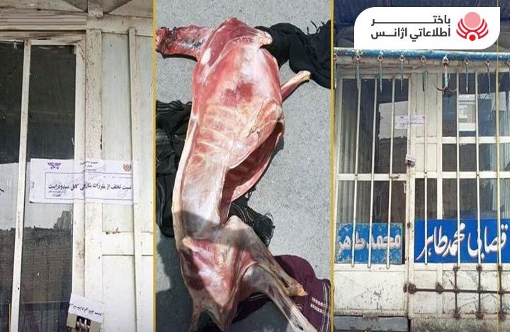 یک دکان فروش گوشت های فاسد شناسایی و مسدود شد