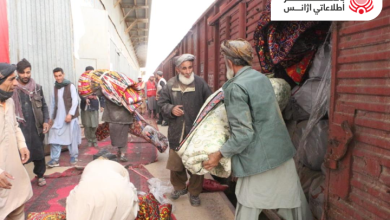 محموله کمک ۵۰۰ تنی کشور ترکیه به هرات رسید