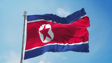 N Korea Flag